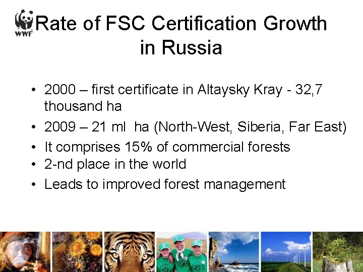 Rate of FSC Certification Growth in Russia • 2000 – first certificate in Altaysky