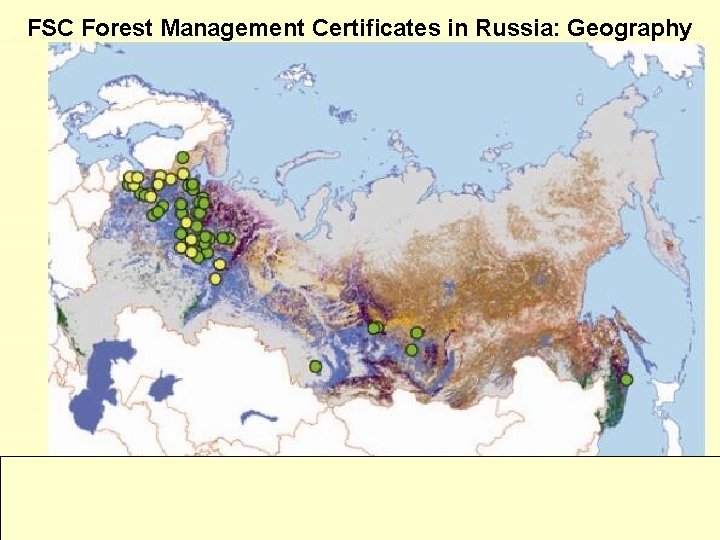 FSC Forest Management Certificates in Russia: Geography 