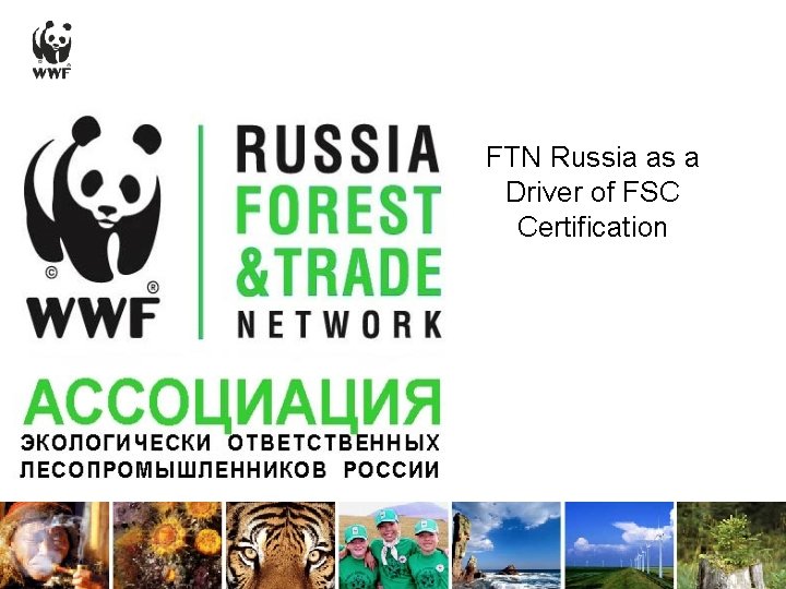 FTN Russia as a Driver of FSC Certification 