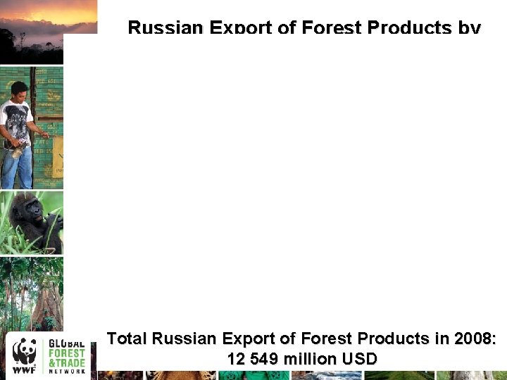 Russian Export of Forest Products by Value in 2008 Total Russian Export of Forest