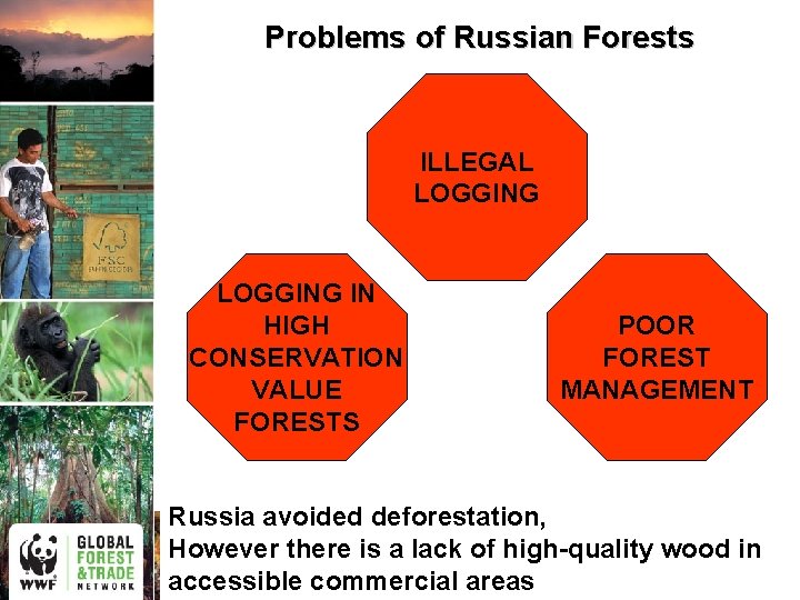 Problems of Russian Forests ILLEGAL LOGGING IN HIGH CONSERVATION VALUE FORESTS POOR FOREST MANAGEMENT