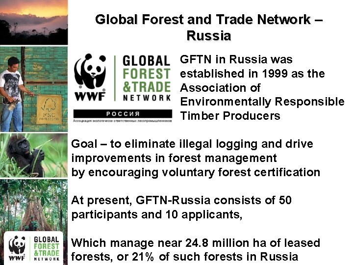 Global Forest and Trade Network – Russia GFTN in Russia was established in 1999