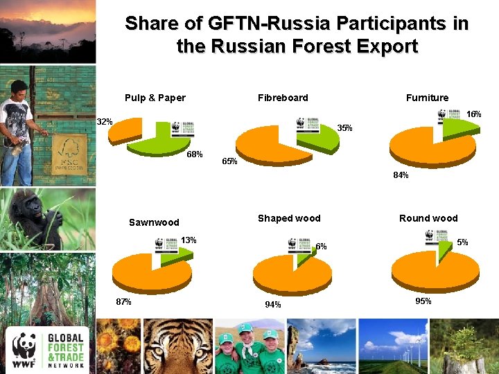 Share of GFTN-Russia Participants in the Russian Forest Export Pulp & Paper Fibreboard Furniture