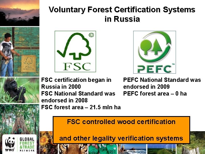 Voluntary Forest Certification Systems in Russia FSC certification began in PEFC National Standard was