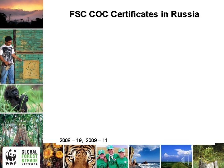 FSC COC Certificates in Russia 2008 – 19, 2009 – 11 