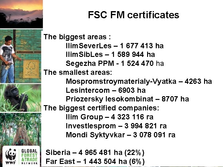 FSC FM certificates The biggest areas : Ilim. Sever. Les – 1 677 413