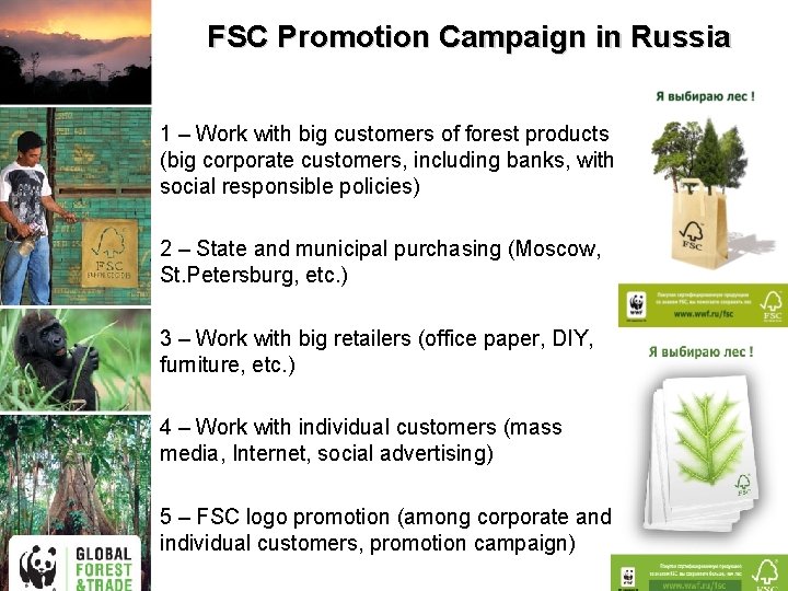 FSC Promotion Campaign in Russia 1 – Work with big customers of forest products