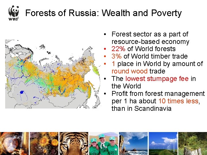 Forests of Russia: Wealth and Poverty • Forest sector as a part of resource-based