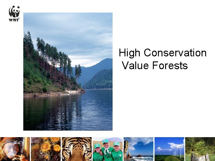 High Conservation Value Forests 