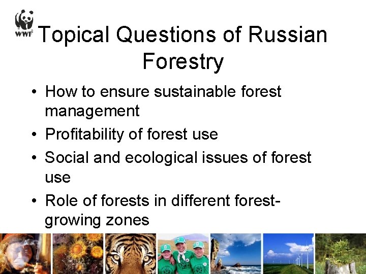 Topical Questions of Russian Forestry • How to ensure sustainable forest management • Profitability