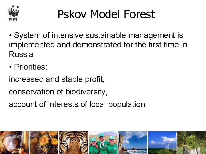 Pskov Model Forest • System of intensive sustainable management is implemented and demonstrated for