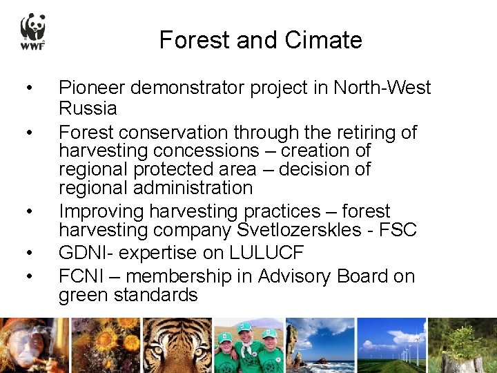 Forest and Cimate • • • Pioneer demonstrator project in North-West Russia Forest conservation