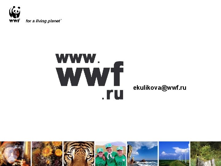 ekulikova@wwf. ru 