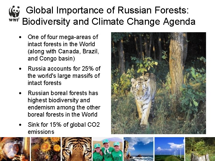 Global Importance of Russian Forests: Biodiversity and Climate Change Agenda · One of four