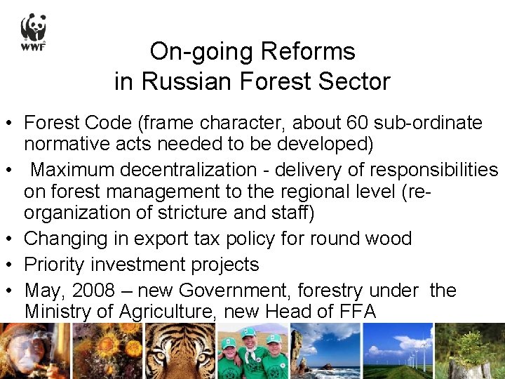 On-going Reforms in Russian Forest Sector • Forest Code (frame character, about 60 sub-ordinate