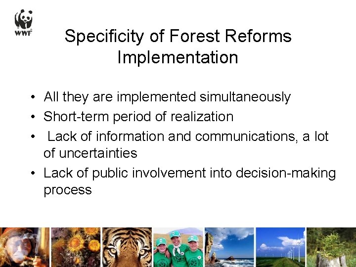 Specificity of Forest Reforms Implementation • All they are implemented simultaneously • Short-term period