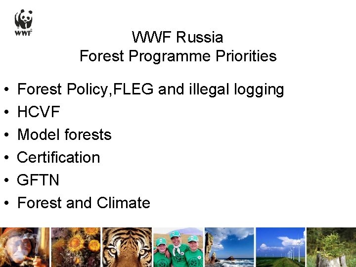 WWF Russia Forest Programme Priorities • • • Forest Policy, FLEG and illegal logging