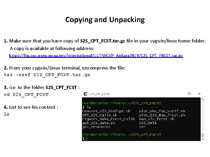 Copying and Unpacking 1. Make sure that you have copy of S 2 S_CPT_FCST.