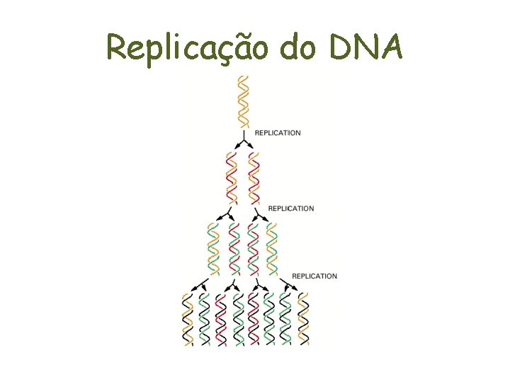 Replicação do DNA 
