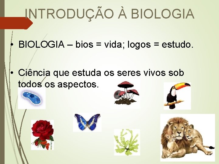 INTRODUÇÃO À BIOLOGIA • BIOLOGIA – bios = vida; logos = estudo. • Ciência