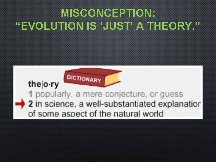 MISCONCEPTION: “EVOLUTION IS ‘JUST’ A THEORY. ” 