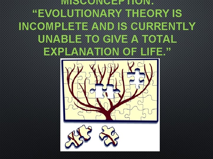 MISCONCEPTION: “EVOLUTIONARY THEORY IS INCOMPLETE AND IS CURRENTLY UNABLE TO GIVE A TOTAL EXPLANATION