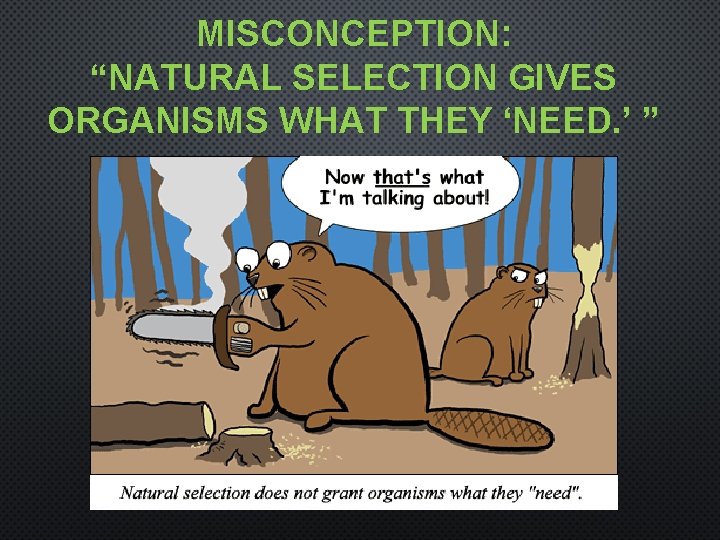 MISCONCEPTION: “NATURAL SELECTION GIVES ORGANISMS WHAT THEY ‘NEED. ’ ” 