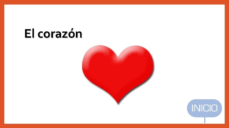 El corazón 