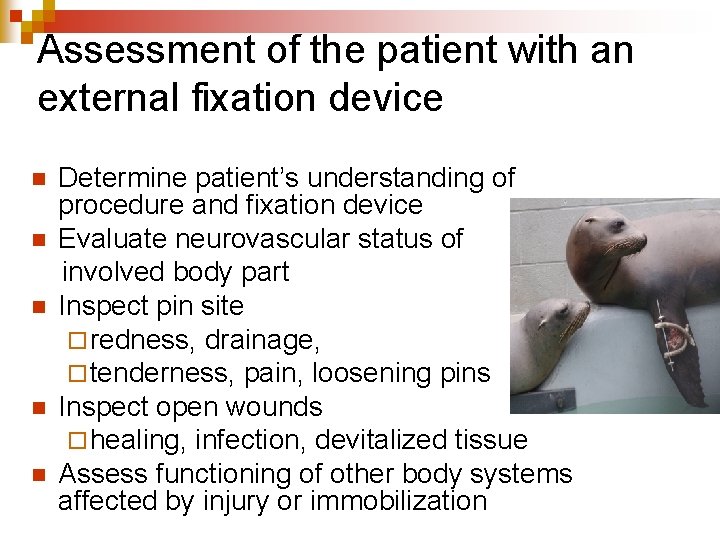 Assessment of the patient with an external fixation device n n n Determine patient’s