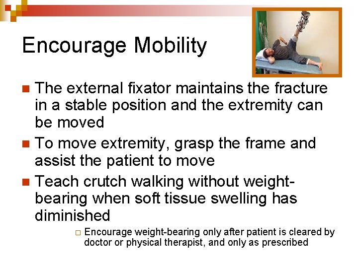 Encourage Mobility The external fixator maintains the fracture in a stable position and the
