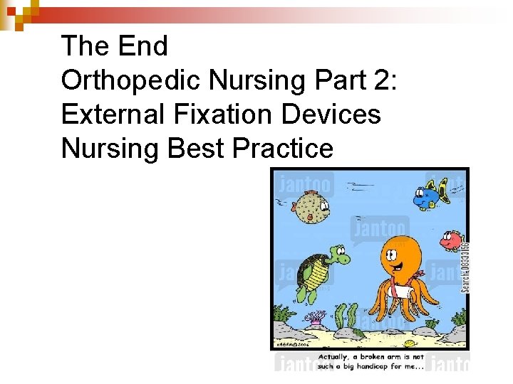 The End Orthopedic Nursing Part 2: External Fixation Devices Nursing Best Practice 