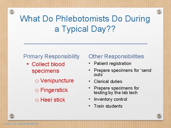 What Do Phlebotomists Do During a Typical Day? ? Primary Responsibility • Collect blood