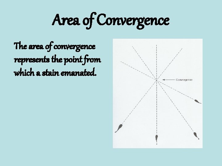 Area of Convergence The area of convergence represents the point from which a stain