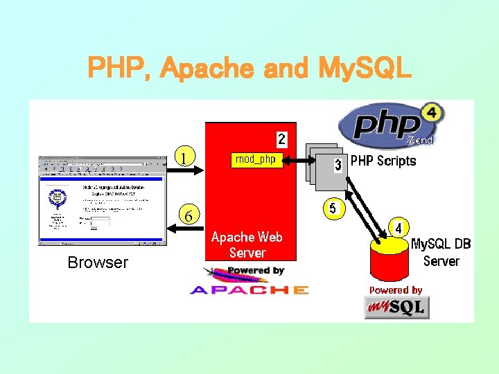 PHP, Apache and My. SQL 1 6 Browser PHP, Apache and My. SQL 1 6 Browser