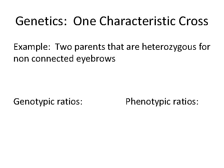 Genetics: One Characteristic Cross Example: Two parents that are heterozygous for non connected eyebrows