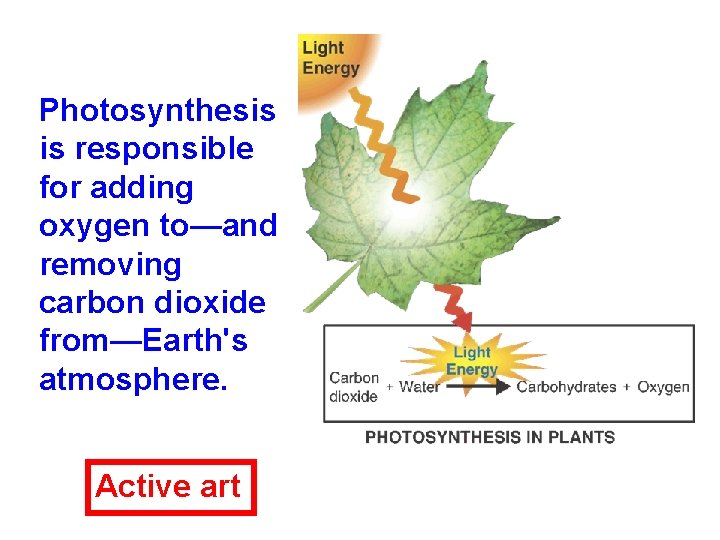 Photosynthesis is responsible for adding oxygen to—and removing carbon dioxide from—Earth's atmosphere. Active art Photosynthesis is responsible for adding oxygen to—and removing carbon dioxide from—Earth's atmosphere. Active art