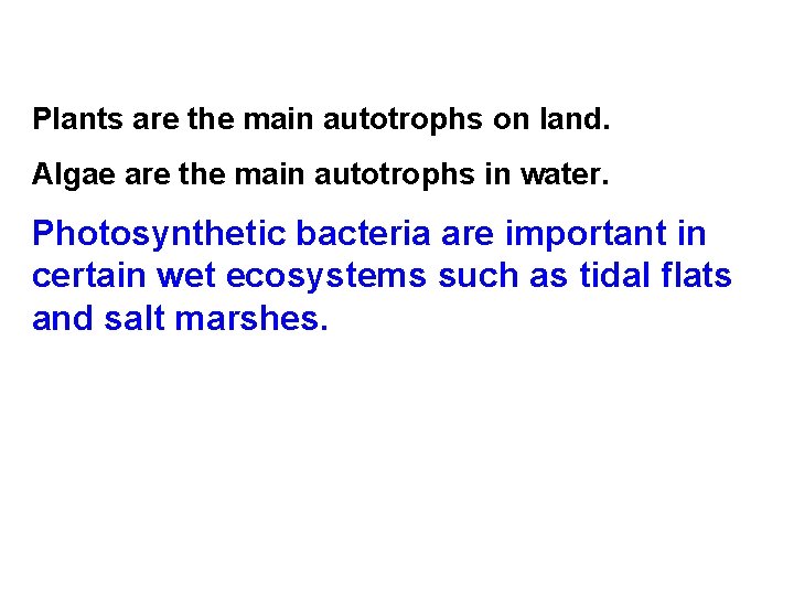 Plants are the main autotrophs on land. Algae are the main autotrophs in water. Plants are the main autotrophs on land. Algae are the main autotrophs in water.