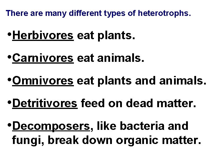 There are many different types of heterotrophs. • Herbivores eat plants. • Carnivores eat There are many different types of heterotrophs. • Herbivores eat plants. • Carnivores eat