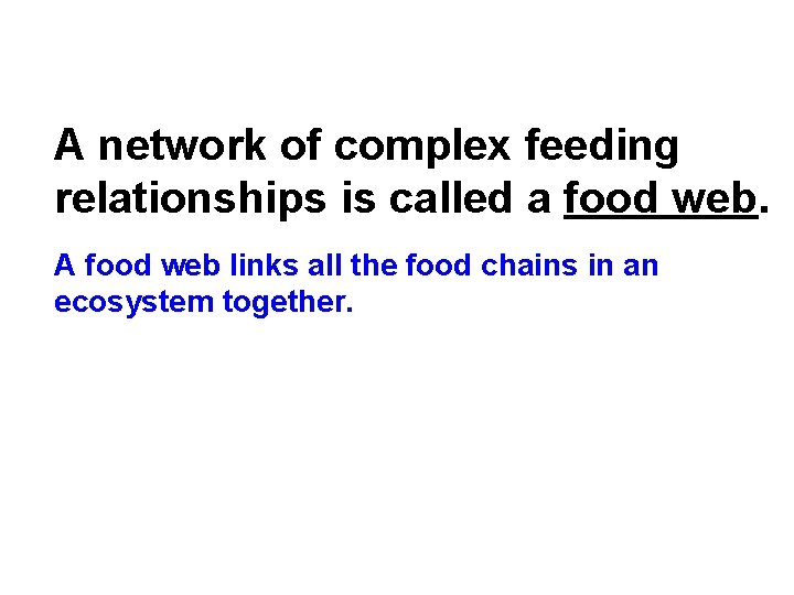 A network of complex feeding relationships is called a food web. A food web A network of complex feeding relationships is called a food web. A food web