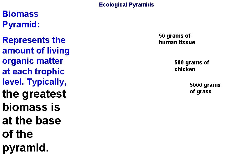 Ecological Pyramids Biomass Pyramid: Represents the amount of living organic matter at each trophic Ecological Pyramids Biomass Pyramid: Represents the amount of living organic matter at each trophic