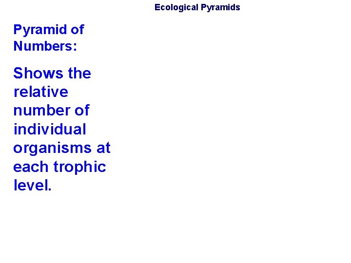 Ecological Pyramids Pyramid of Numbers: Shows the relative number of individual organisms at each Ecological Pyramids Pyramid of Numbers: Shows the relative number of individual organisms at each