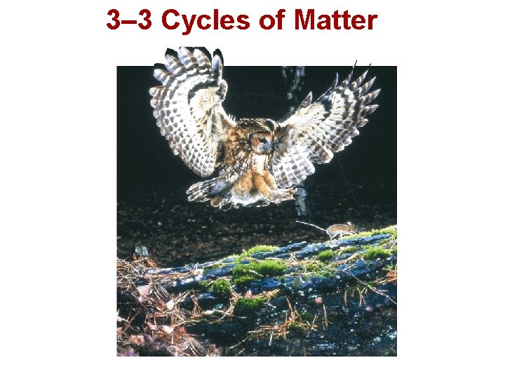 3– 3 Cycles of Matter 3– 3 Cycles of Matter