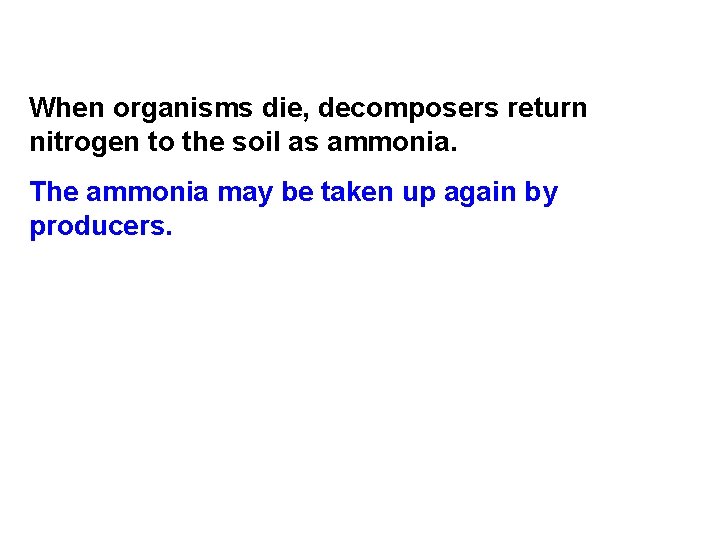 When organisms die, decomposers return nitrogen to the soil as ammonia. The ammonia may When organisms die, decomposers return nitrogen to the soil as ammonia. The ammonia may