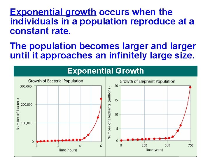 Exponential growth occurs when the individuals in a population reproduce at a constant rate. Exponential growth occurs when the individuals in a population reproduce at a constant rate.