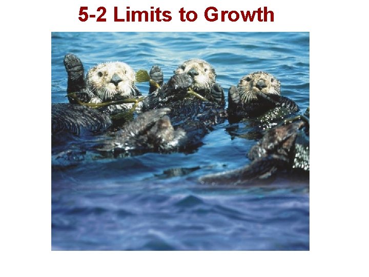 5 -2 Limits to Growth 5 -2 Limits to Growth