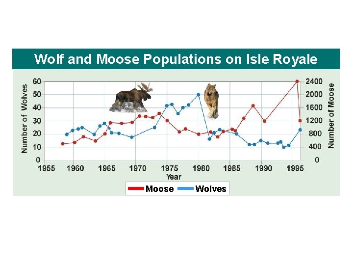 Wolf and Moose Populations on Isle Royale Moose Wolves Wolf and Moose Populations on Isle Royale Moose Wolves