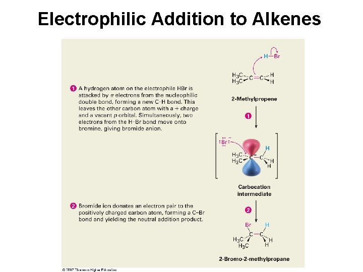 Electrophilic Addition to Alkenes 