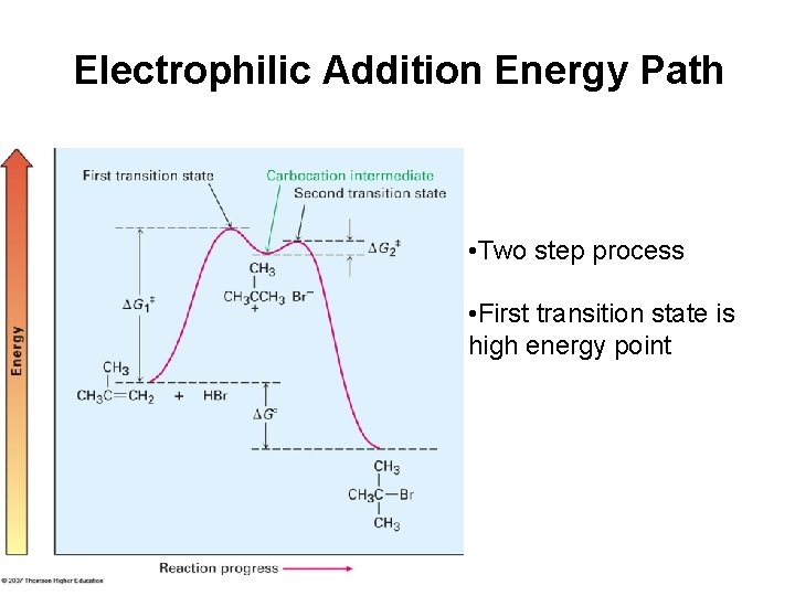 Electrophilic Addition Energy Path • Two step process • First transition state is high