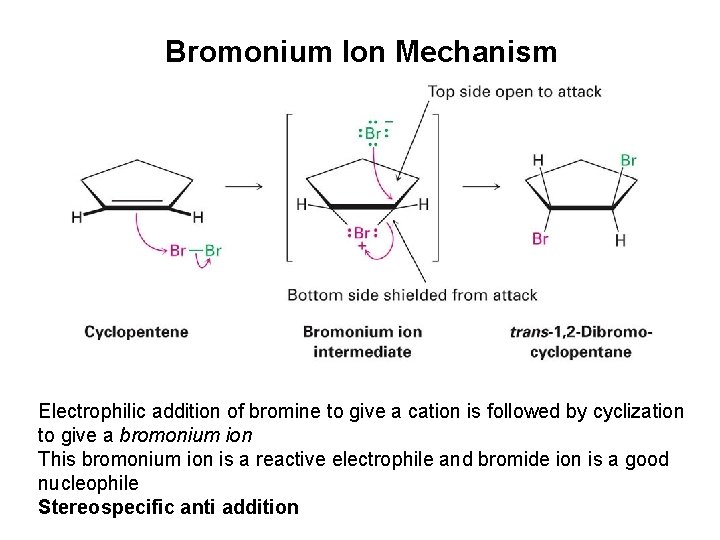 Bromonium Ion Mechanism Electrophilic addition of bromine to give a cation is followed by