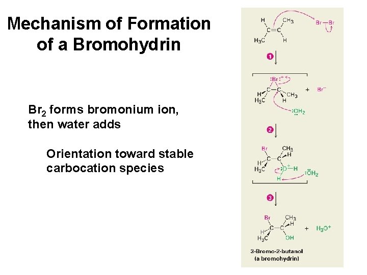 Mechanism of Formation of a Bromohydrin Br 2 forms bromonium ion, then water adds